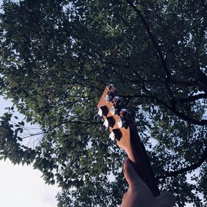 叶凯薇穿透明瑜伽裤
